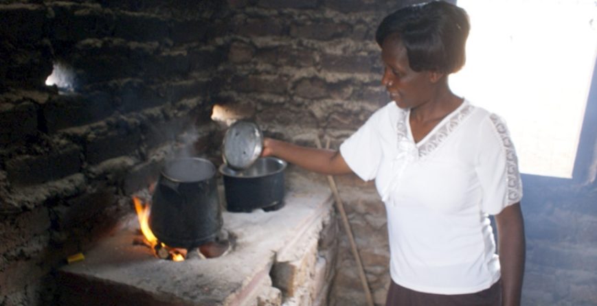 shaping-environmental-conservation-through-networking