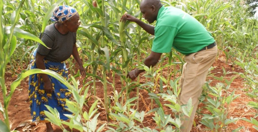 fostering-technology-transfer-through-strategic-partnerships
