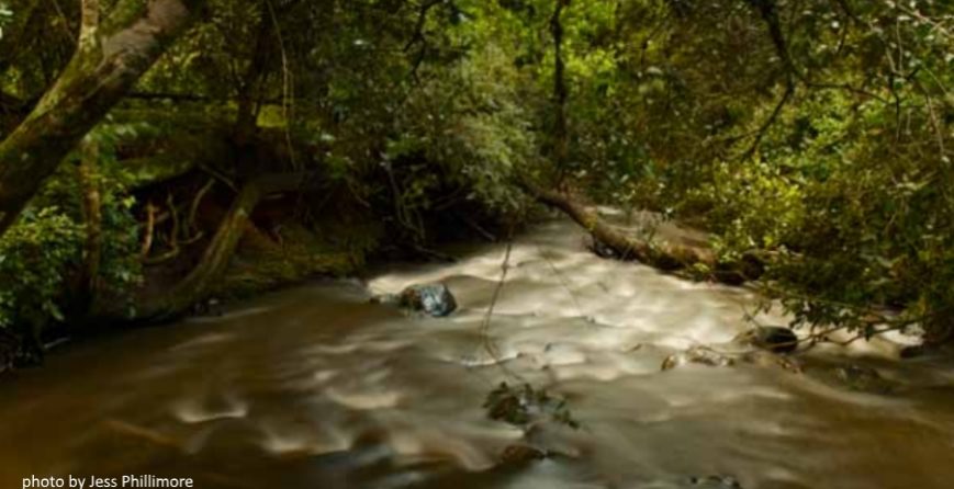 sacred-sites-critical-to-biodiversity