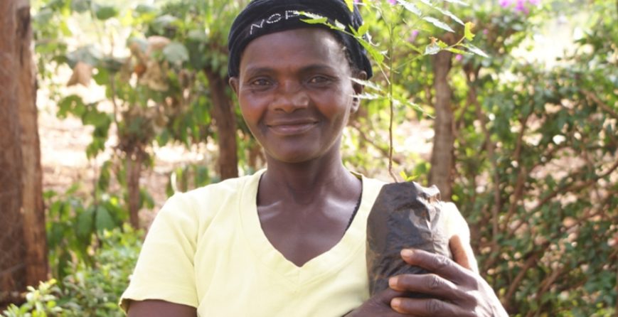strategic-partnerships-to-fight-effects-of-climate-change