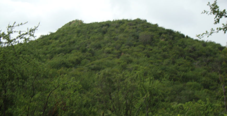 towards-restoring-ecological-resilience-a-case-study